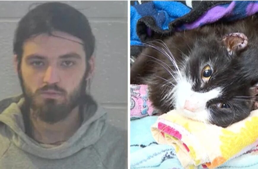 Kentucky Man Charged of Biting Cat’s Ear Off Held on $50,000 Bail (Photo: WKYT/YouTube)