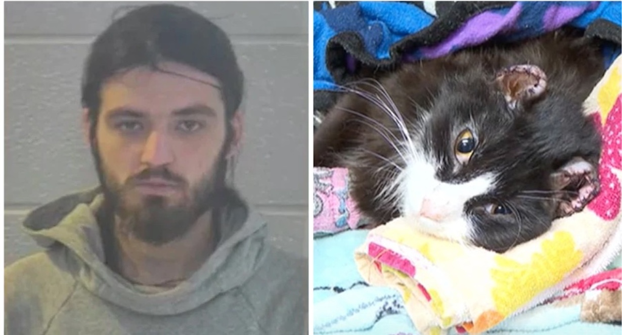 Kentucky Man Charged of Biting Cat’s Ear Off Held on $50,000 Bail (Photo: WKYT/YouTube)