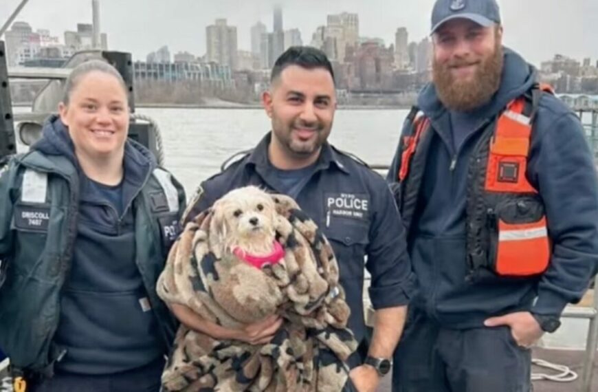 NYPD Officer Saves Little Dog from East River, Then Adopts Her (Photo: CBS New York/YouTube)