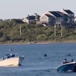 20-Foot Shark Spotted in Rhode Island, Shocks Local Diners (Photo: CBS Boston/YouTube)