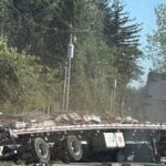 250 Million Bees On The Loose in Washington After Truck Crash (Photo: KOMO News/YouTube)