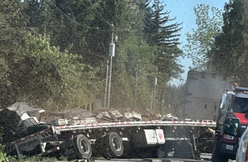 250 Million Bees On The Loose in Washington After Truck Crash (Photo: KOMO News/YouTube)