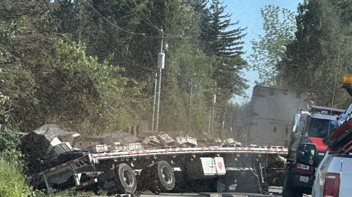 250 Million Bees On The Loose in Washington After Truck Crash (Photo: KOMO News/YouTube)