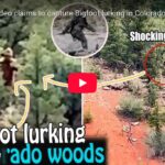 Bigfoot Spotted in Colorado: Viral Video Shows Chilling Footage (Photo: Stand Up/YouTube)