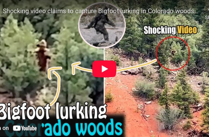 Bigfoot Spotted in Colorado: Viral Video Shows Chilling Footage (Photo: Stand Up/YouTube)
