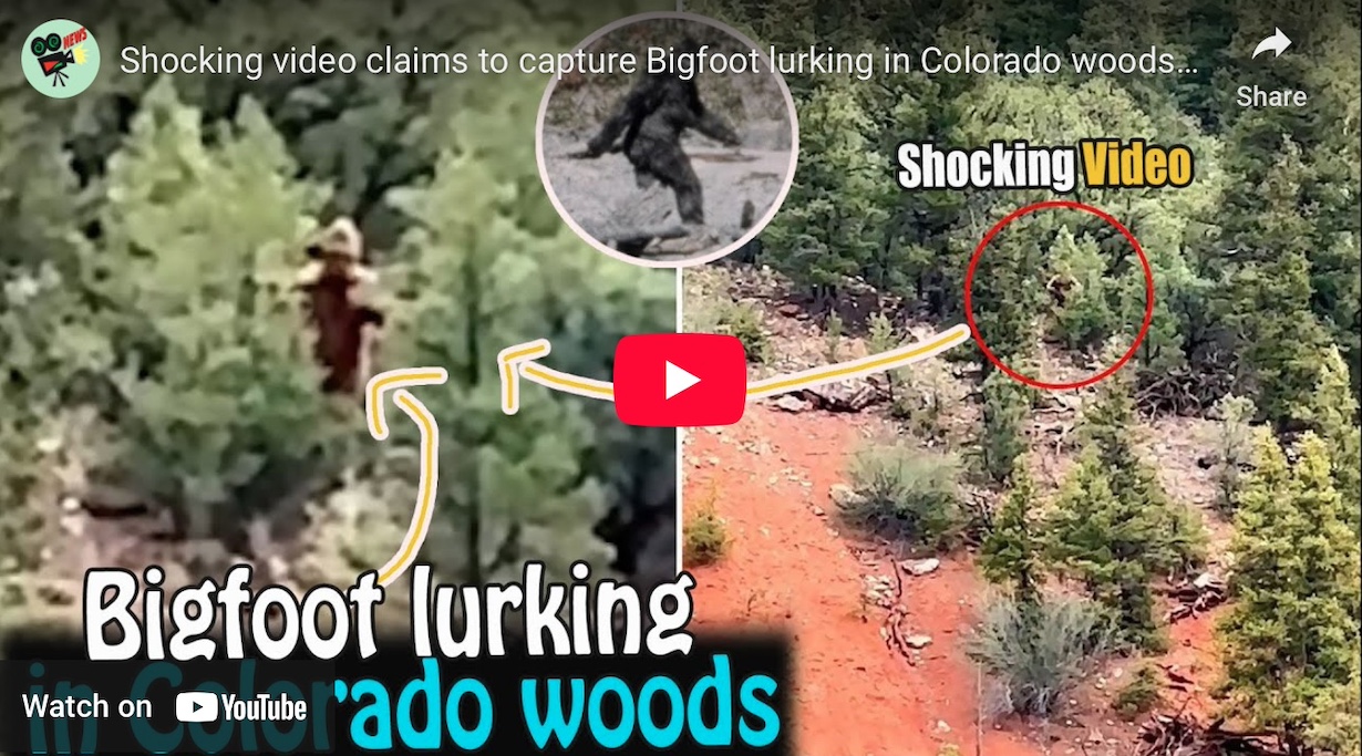 Bigfoot Spotted in Colorado: Viral Video Shows Chilling Footage (Photo: Stand Up/YouTube)