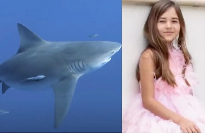 Florida Shark Attack Injures 9-Year-Old Snorkeler (Photo:TODAY/YouTube)