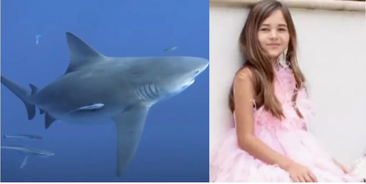 Florida Shark Attack Injures 9-Year-Old Snorkeler (Photo:TODAY/YouTube)