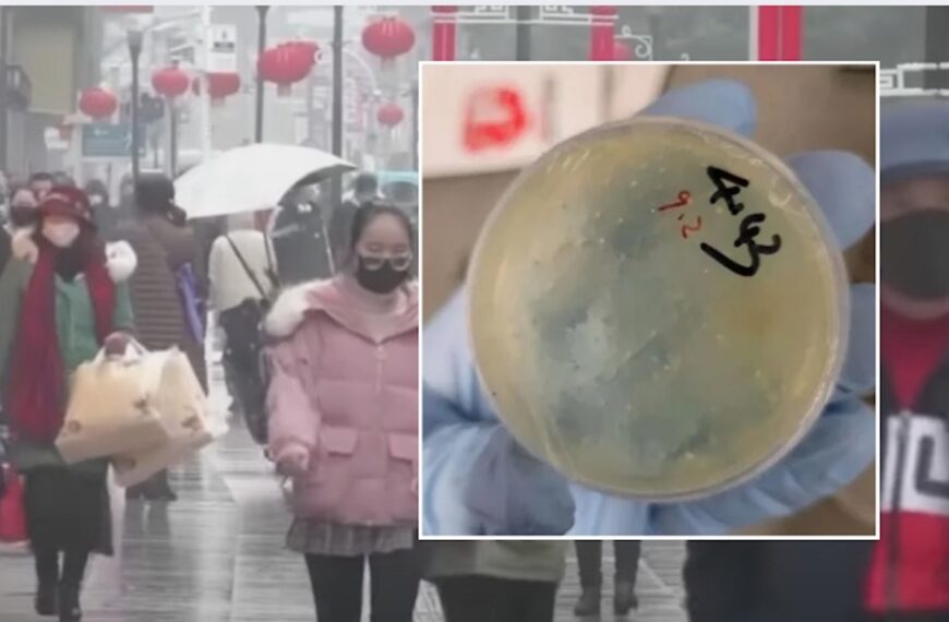 Next Wuhan Scientist Charged in U.S. Biotech Smuggling Case