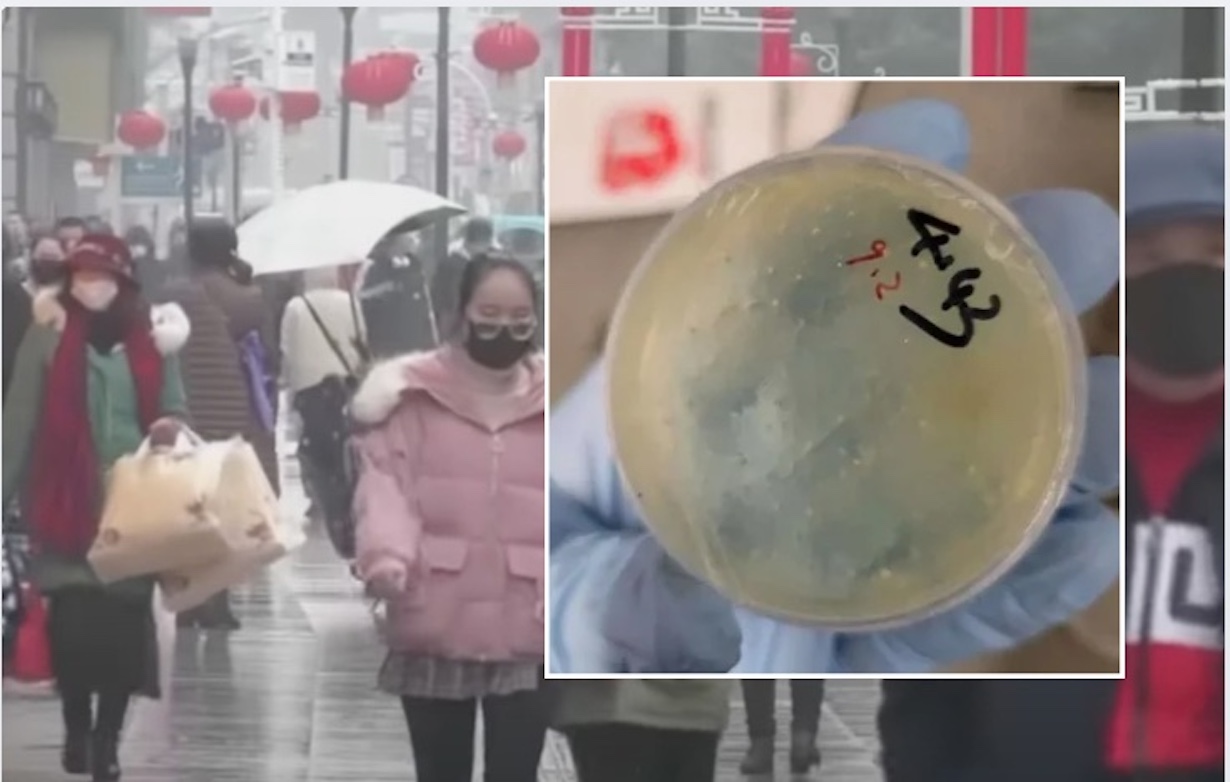 Next Wuhan Scientist Charged in U.S. Biotech Smuggling Case