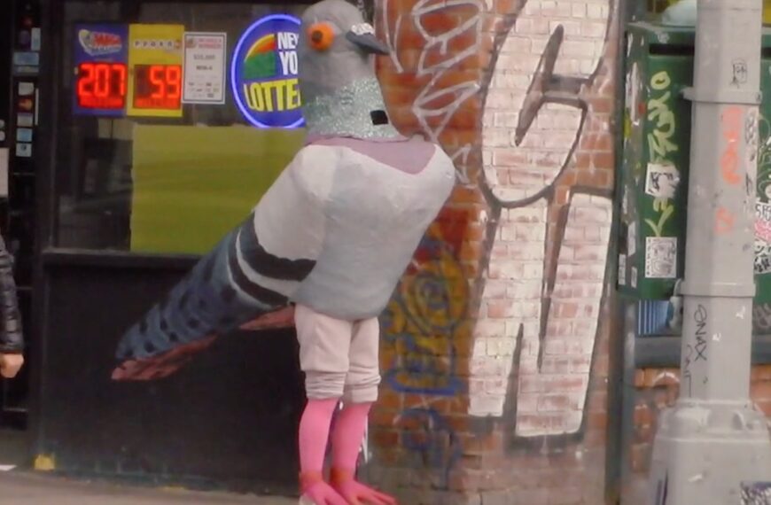 Woman Competes for the Crown in NYC’s First Pigeon Pageant (Photo:Miriam Abrahams/Website)