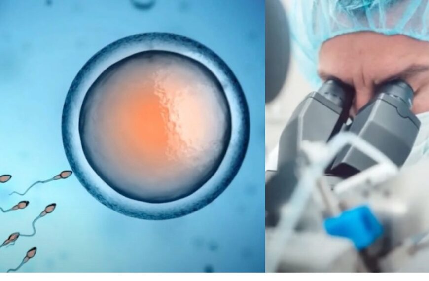 Ten Children Diagnosed With Cancer Share Same Sperm Donor (Photo: Viral News/YouTube)