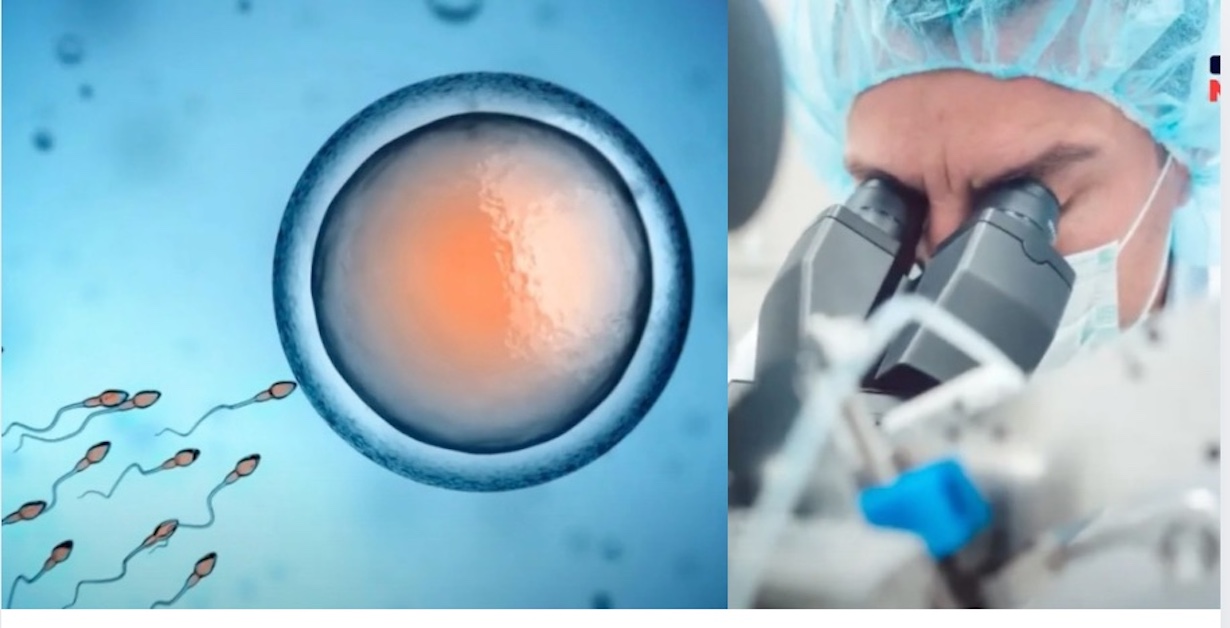 Ten Children Diagnosed With Cancer Share Same Sperm Donor (Photo: Viral News/YouTube)