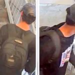 'We Have him' Trump Confirms Arrest of Suspect in Charlie Kirk Shooting